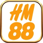 hm8801.com icon