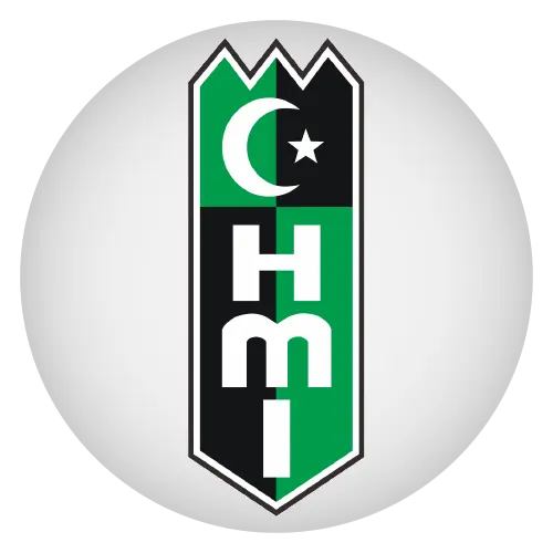 hmipemkabsingaraja.com icon