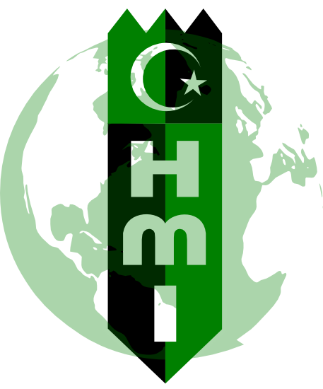 hmisikka.org icon