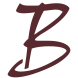 ho-berg.nl icon
