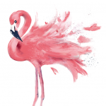 hochzeitshaus-schubert.de icon