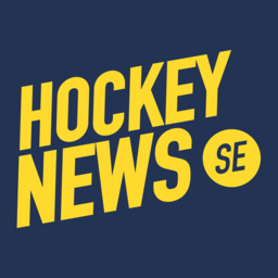 hockeynews.se icon