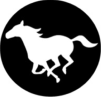 holeinthewallgetaway.com icon