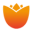 hollandbulbmarket.nl icon