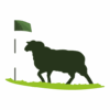 hollandschegolfclub.nl icon