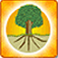 homegrownmusic.net icon