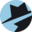 homespyvideo.com logo