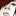 homoemo.com icon