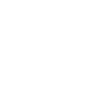 hongjiangzhizao.com icon