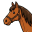 horse-nation.nl icon