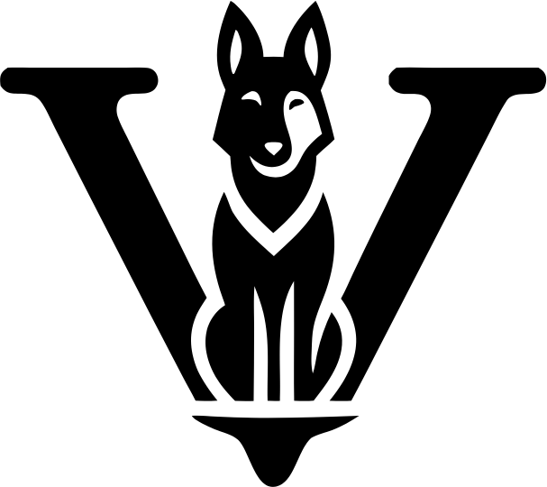 hostverna.com icon