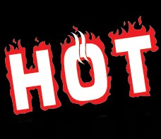 hot-food.net icon