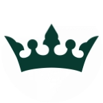 hotelcoronadecastillaburgos.com icon