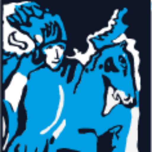 hotelderblauereiter.de icon