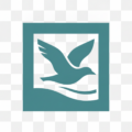 hoteldusaumon.fr icon