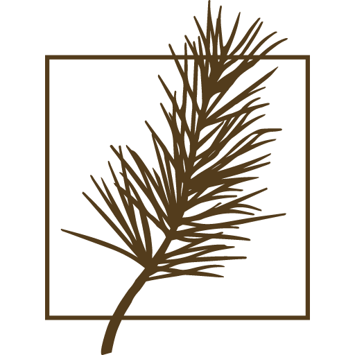 hoteljurmala.com icon