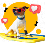 hotelpatitas.com icon