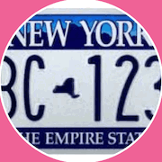 howsmydrivingny.nyc icon