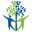 hsifiscalsponsor.org icon