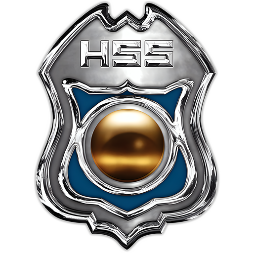 hssdrive.com icon
