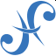 huasing.net icon
