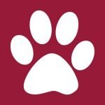humanesocietytampabay.org icon