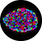 humanislets.com icon