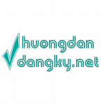 huongdandangky.net icon