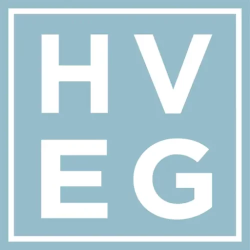 hvegfashiongroup.com icon