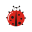 hyperdbg.org icon