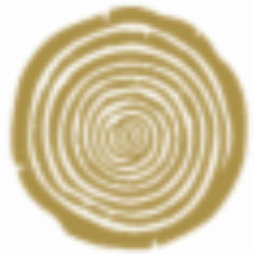 hyperpalacegrid.nl icon