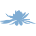 hypnose-suisse-formation.ch icon