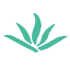 hzhcloud.com icon