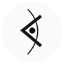 ialvs.com icon