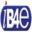 ib4e-coaching.com icon