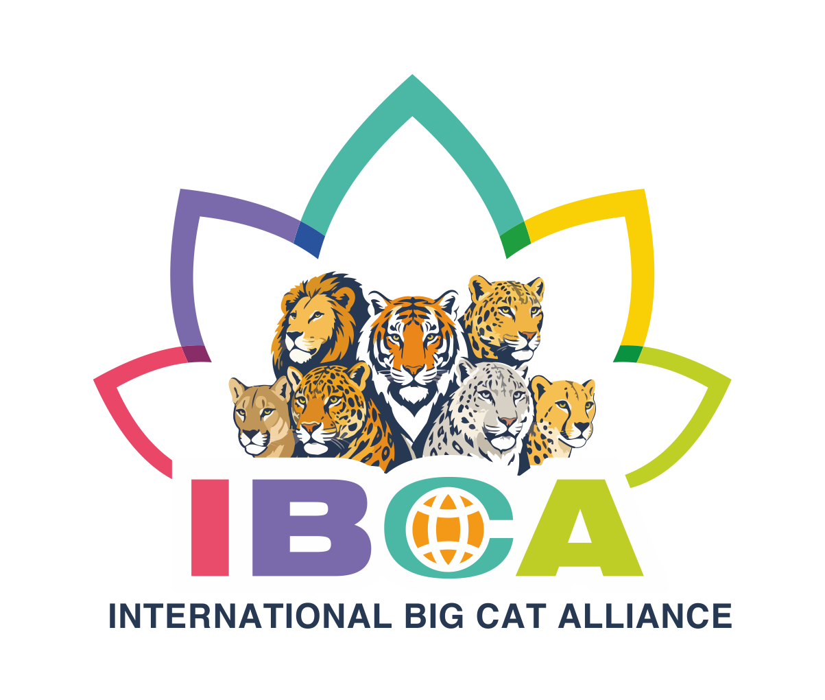 ibca.world icon