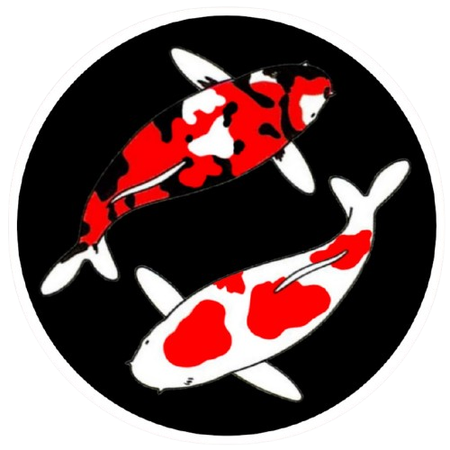 ibibima.com icon