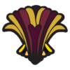 iccdp.net icon