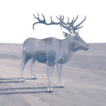 icelk.dev