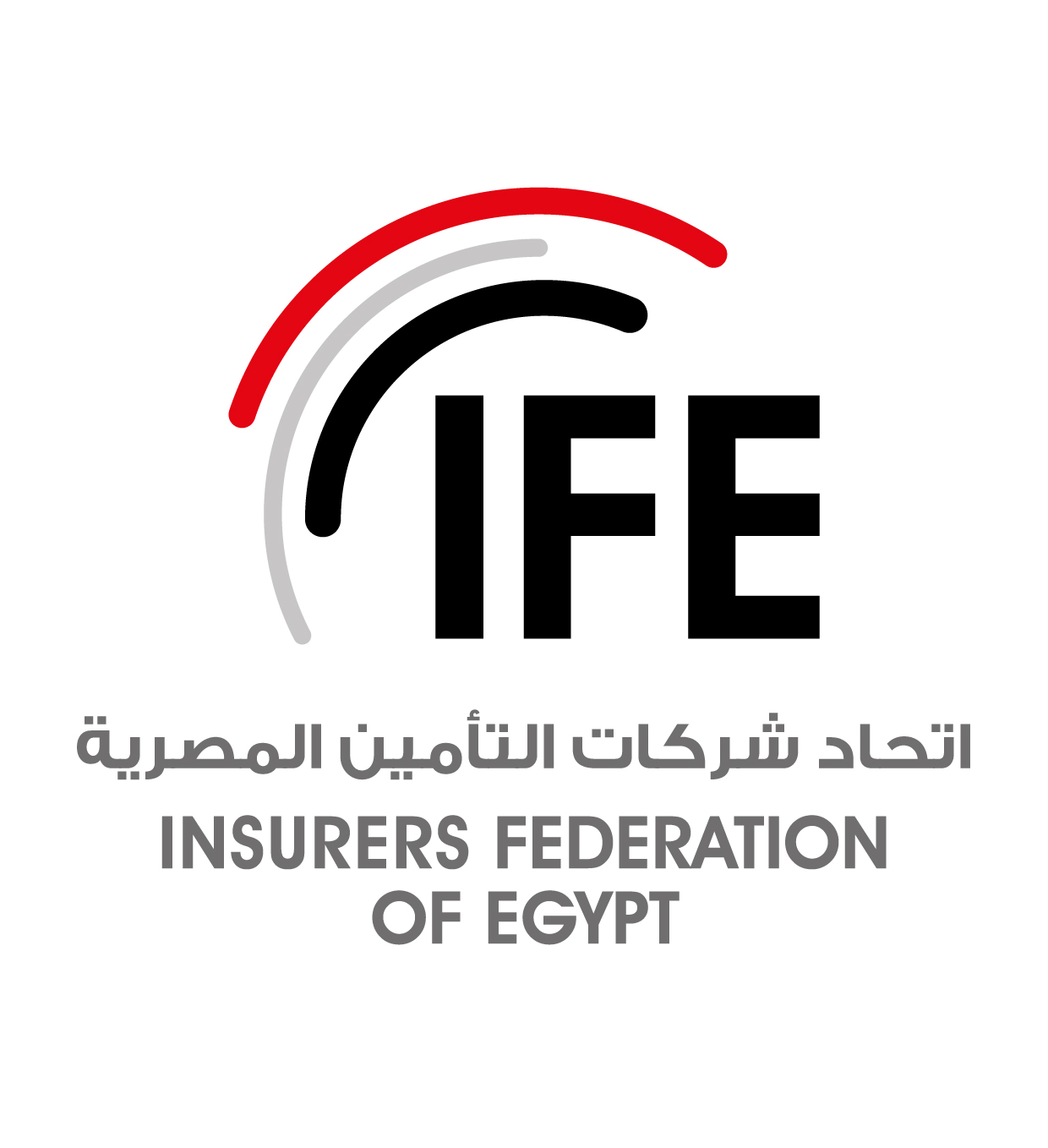 ifegy.org icon