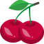 iftaregistr.cz icon