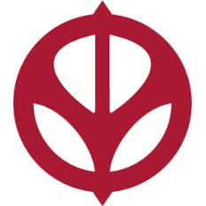 igv-gmbh.de icon