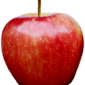 iheartmyteacher.org icon