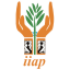 iiap.gob.pe icon