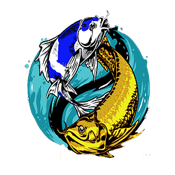 ikn4dmajupro.com icon