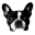 illo.tv icon
