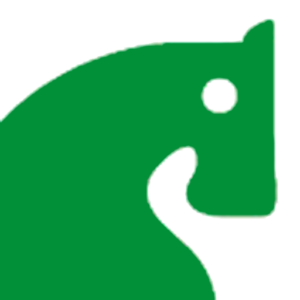 ilportaledelcavallo.it icon
