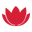 iltutto.com.au icon
