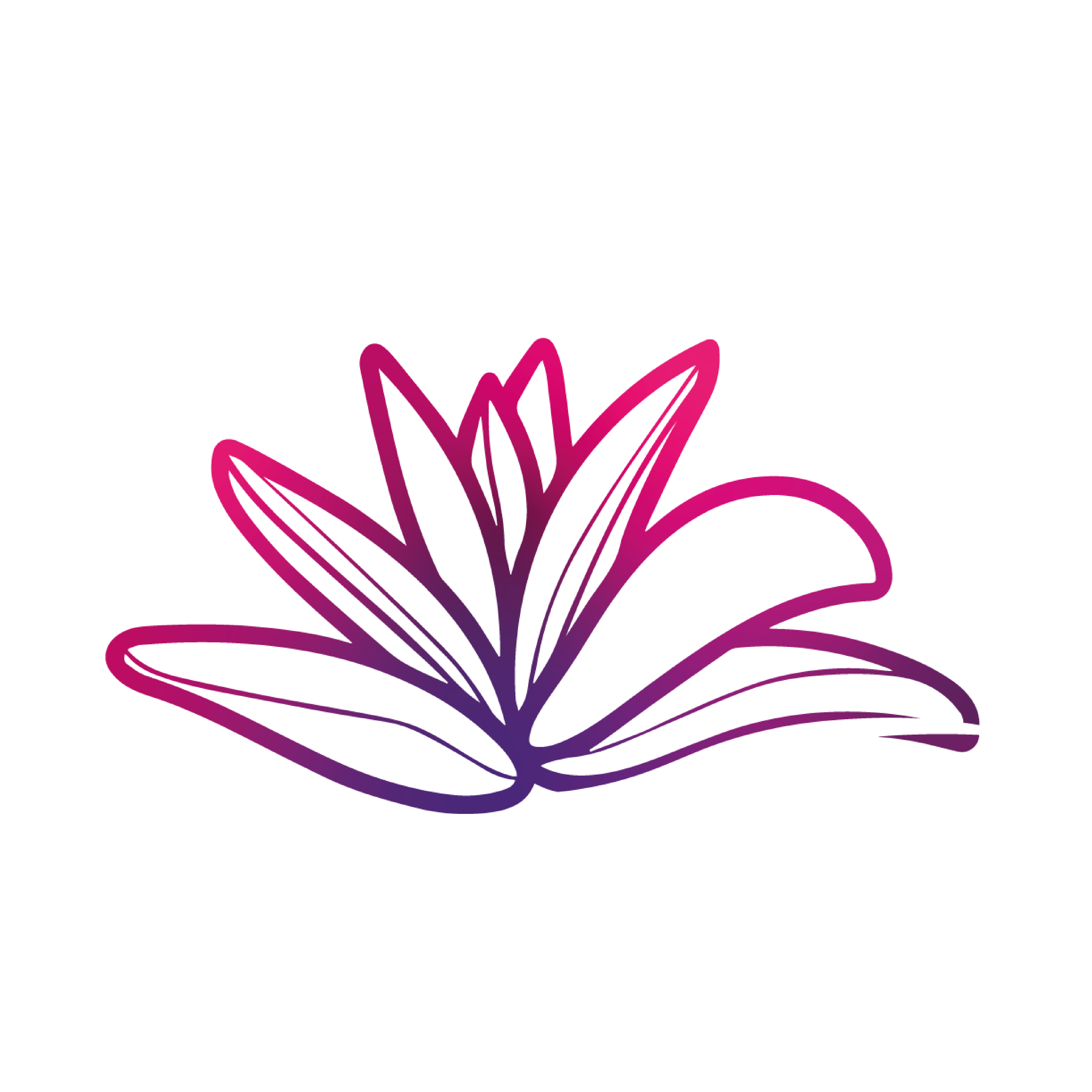 imcsus.com logo