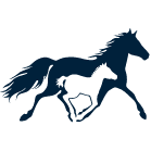 imh.org icon